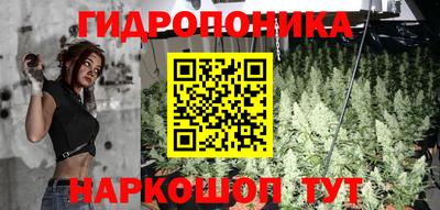 мет Новозыбков