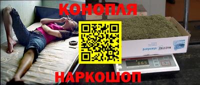 гидра Новокубанск
