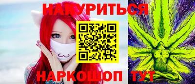 альфа пвп Новодвинск