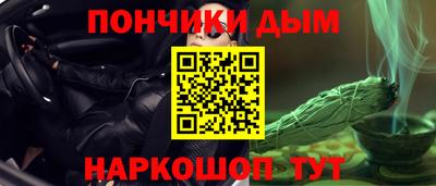 альфа пвп Новодвинск