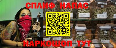 гидра Новокубанск