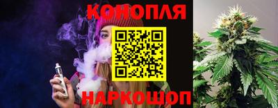 альфа пвп Новодвинск
