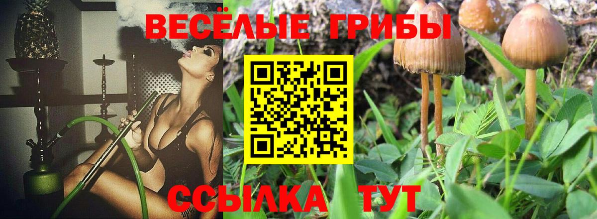 Псилоцибиновые грибы MAGIC MUSHROOMS  Псилоцибиновые грибы Magic Shrooms  Вход с VPN  продажа наркотиков  Томск 